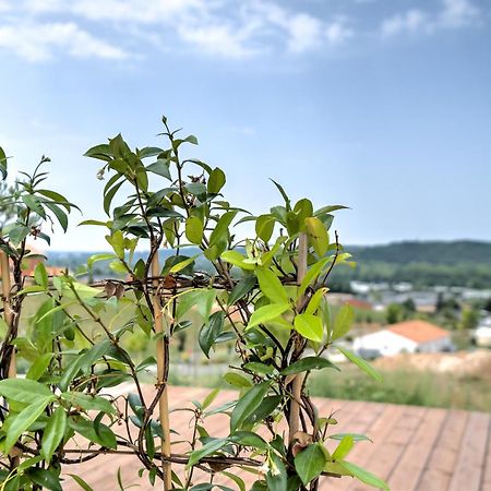 L'Elegante Confort, Clim & Vue Imprenable Bassillac Esterno foto